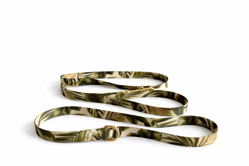 Smycz - Soft Dune.png