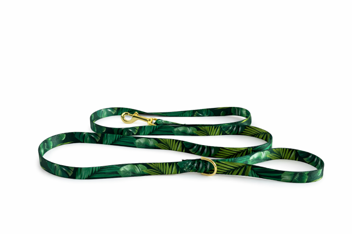 Smycz - Forest Whisper.png