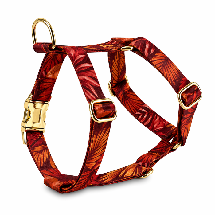 Szelki Burnt Bloom.png