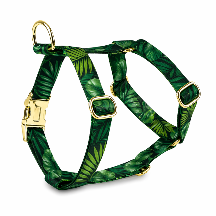 Szelki Forest Whisper.png